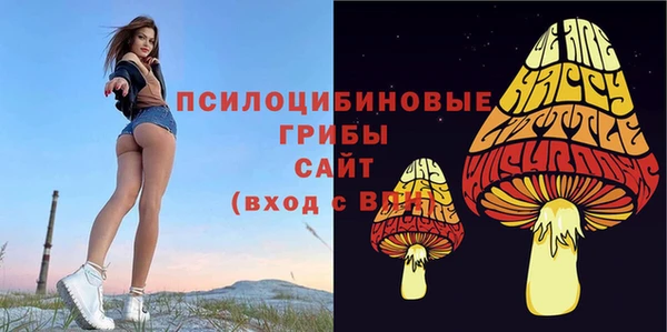 мдпв Баксан